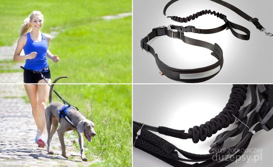 Pas do biegania z psem, pas do biegania z psem Dingo smycz z amortyzatorem, pas do biegania z husky, smycz do biegania z psem