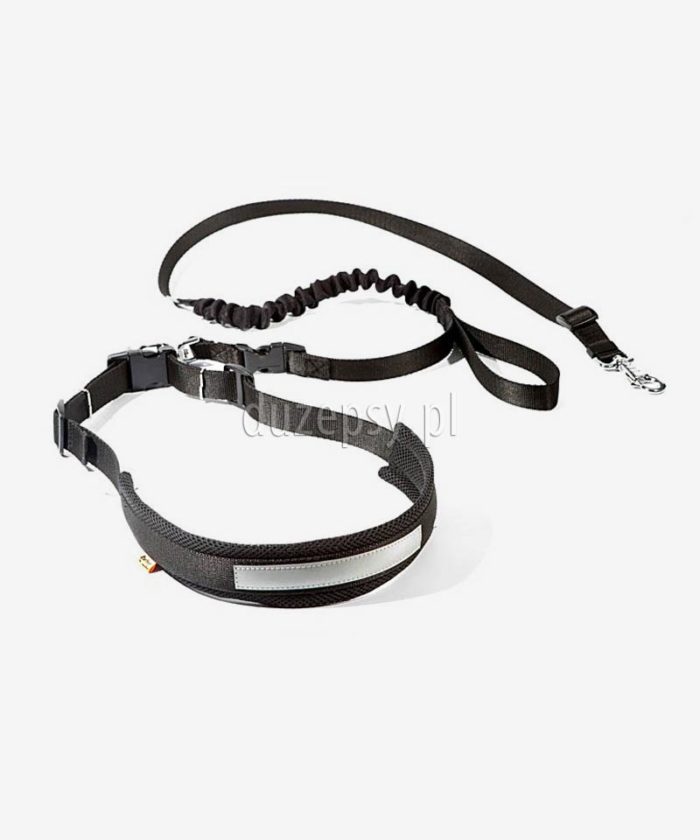 Pas do biegania z psem dingo; pas i smycz z amortyzatorem; pas do biegania z psem; smycz do biegania z psem; pas na biodra do biegania z psem; sporty z psami; jogging z psem; fitness z psem; bieganie z psem; smycze do biegania z psami; sklep zoologiczny; duzepsy.pl