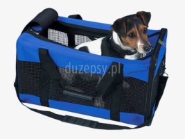Torba transportowa dla małego psa; przenośna buda dla psa; buda dla psa z neoprenu Trixie; torba transporter dla małego psa; transporter dla yorka do samochodu; transportery dla małego psa do samochodu; transportery dla małych psów; transporter dla psa na siedzenia samochodu; transportery dla małego psa; sklep zoologiczn; DuzePsy.pl