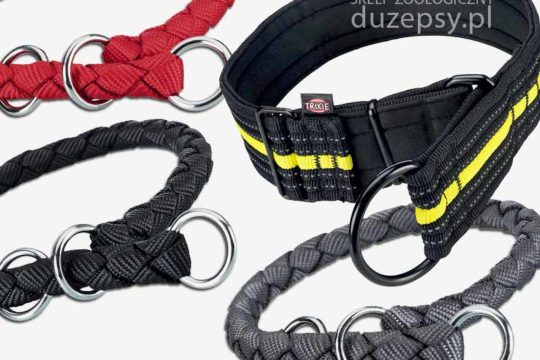 obroża dla psa dużego Trixie; szeroka obroża dla psa; obroże dla dużego psa; obroża czy szelki dla dużego psa; obroża i smycz dla dużego psa; mocna obroża dla dużego psa; najlepsza obroża dla dużego psa; obroża pleciona dla dużego psa; obroża skórzana dla dużego psa; obroże skórzane dla dużych psów; obroża dla psa skórzana; obroża dla psa amstaff; obroża dla psa boksera; obroża dla psa 5 cm; obroża dla psa cane corso; obroża dla psa dużego; obroże dla psów dingo; obroża dla psa który ciągnie; obroża dla psa beagle; obroża dla psa z uchwytem; obroża dla psa 60 cm; obroża dla psa 50 cm; obroże dla psa sklep; obroże dla psów sklep internetowy