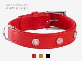 obroże dla psa skórzane; ekskluzywna obroża dla psa; obroża dla dużego psa skóra; obroża dla psa sklep; obroże dla psów sklep; obroża dla psa skórzana; obroża dla psa elegancka; obroża dla psa zdobiona; obroża dla psa labradora; obroża dla psa owczarek niemiecki; obroża dla psa amstaff; obroża dla psa boksera; obroża dla psa beagle; obroża dla psa czerwona; obroża dla psa goldena; obroże dla dużych psów; obroża dla psa 60 cm; obroża dla psa 70 cm; obroża dla psa 80 cm; obroże dla psa myśliwskiego; obroże dla psa ipo; sklep ipo; sklep zoologiczny; DuzePsy.pl