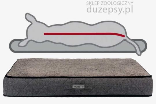 Legowisko ortopedyczne dla dużego psa; legowisko dla psa memory szare; materac ortopedyczny dla dużego psa; legowisko dla psa memory foam; legowisko dla psa 140 cm; legowiska dla psa olbrzymiego; legowiska dla psa memory szare; legowiska ortopedyczne dla psów; legowisko ortopedyczne dla psa xxl; legowisko ortopedyczne dla psa; gruby materac dla dużego psa; legowisko dla psa sklep; legowisko dla psa trixie; legowisko dla bardzo dużego psa; legowiska dla dużych psów; legowisko dla psa hovarta; legowiska dla starszych psów; legowisko ortopedyczne dla psa xl; legowisko dla psa giganta; legowisko dla psa boksera; legowisko dla psa duże; legowisko dla psa golden retriever; legowisko dla psa husky; legowisko dla psa labradora; legowisko dla psa łatwe do prania; legowisko dla psa łatwe w czyszczeniu; legowisko dla psa owczarka niemieckiego; legowisko dla psa premium; legowisko dla psa rozbieralne; legowisko dla psa szare; legowisko dla psa ze ściąganym pokrowcem; sklep zoologiczny; DuzePsy.pl