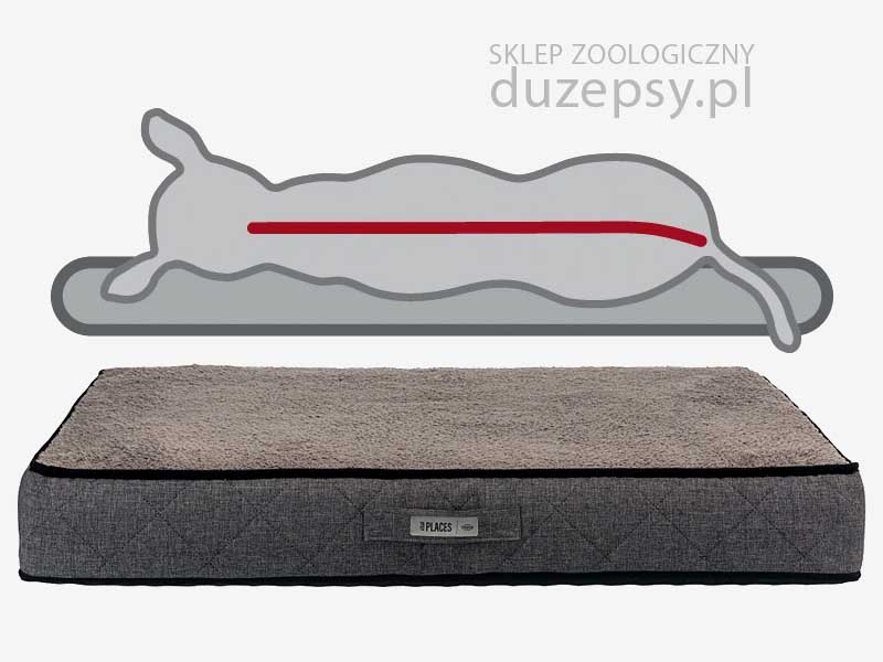Legowisko ortopedyczne dla dużego psa memory Trixie Legowisko ortopedyczne dla dużego psa; legowisko dla psa memory szare; materac ortopedyczny dla dużego psa; legowisko dla psa memory foam; legowisko dla psa 140 cm; legowiska dla psa olbrzymiego; legowiska dla psa memory szare; legowiska ortopedyczne dla psów; legowisko ortopedyczne dla psa xxl; legowisko ortopedyczne dla psa; gruby materac dla dużego psa; legowisko dla psa sklep; legowisko dla psa trixie; legowisko dla bardzo dużego psa; legowiska dla dużych psów; legowisko dla psa hovarta; legowiska dla starszych psów; legowisko ortopedyczne dla psa xl; legowisko dla psa giganta; legowisko dla psa boksera; legowisko dla psa duże; legowisko dla psa golden retriever; legowisko dla psa husky; legowisko dla psa labradora; legowisko dla psa łatwe do prania; legowisko dla psa łatwe w czyszczeniu; legowisko dla psa owczarka niemieckiego; legowisko dla psa premium; legowisko dla psa rozbieralne; legowisko dla psa szare; legowisko dla psa ze ściąganym pokrowcem; sklep zoologiczny; DuzePsy.pl