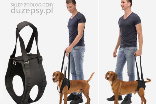 szelki rehabilitacyjne dla psa; uprząż rehabilitacyjna dla psa; uprząż rehabilitacyjna przednia dla psa; uprząż rehabilitacyjna dla dużego psa; uprzęże rehabilitacyjne dla psów; uprząż rehabilitacyjna dla psa sklep; uprząż rehabilitacyjna dla psa warszawa; szelki dla chorego psa
