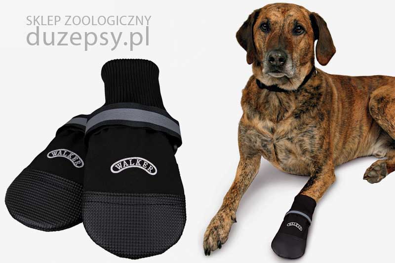 buty ochronne dla psa wodoodporne; buty dla dużych psów; buty ochronne dla psów; buty dla labradora; buty dla psa tanio; buty dla psów Walker; buty neoprenowe dla psów; duże buty dla psa; DuzePsy.pl; mocne buty dla psa